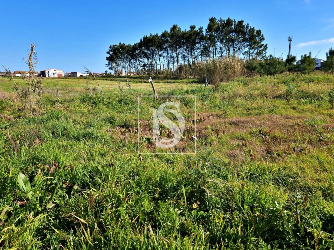 Terreno para Venda em Alqueidão Foto 7