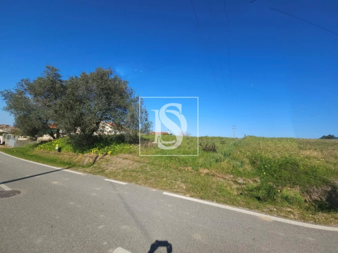 Terreno para Venda em Alqueidão Foto 12