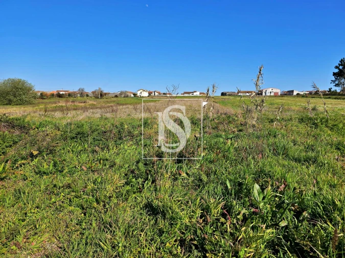 Terreno para Venda em Alqueidão Foto 21