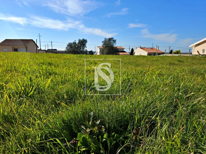 Terreno para Venda em Alqueidão Foto 20