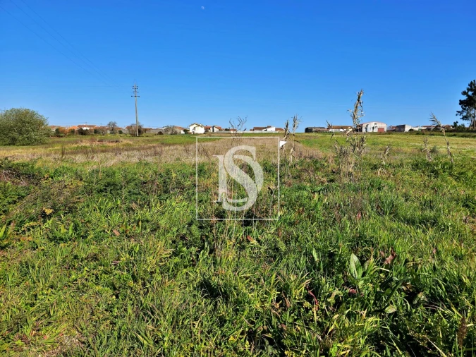 Terreno para Venda em Alqueidão Foto 6