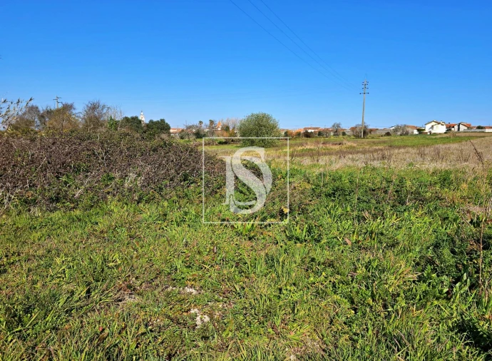 Terreno para Venda em Alqueidão Foto 14