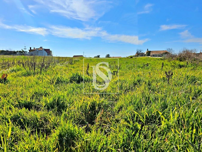 Terreno para Venda em Alqueidão Foto 24