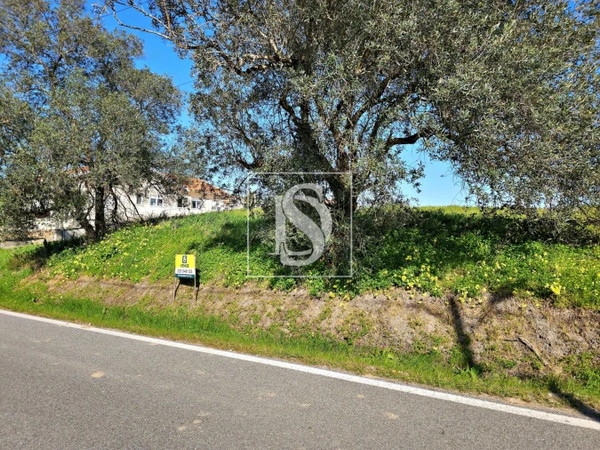 Terreno para Venda em Alqueidão Foto 9