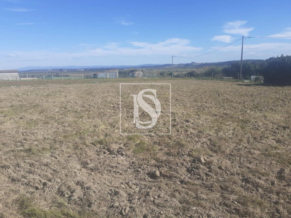 Terreno para Venda em Maiorca Foto 4