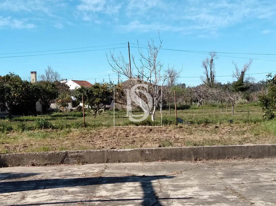 Terreno para Venda em Maiorca Foto 8
