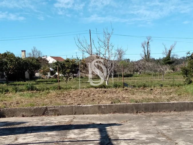 Terreno para Venda em Maiorca Foto 8