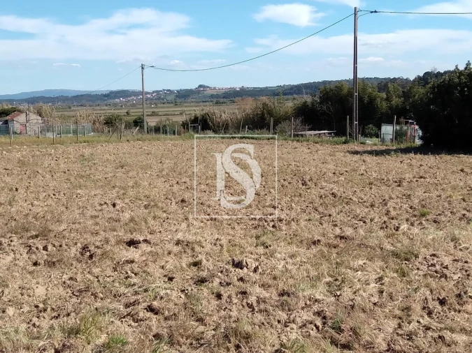 Terreno para Venda em Maiorca Foto 3