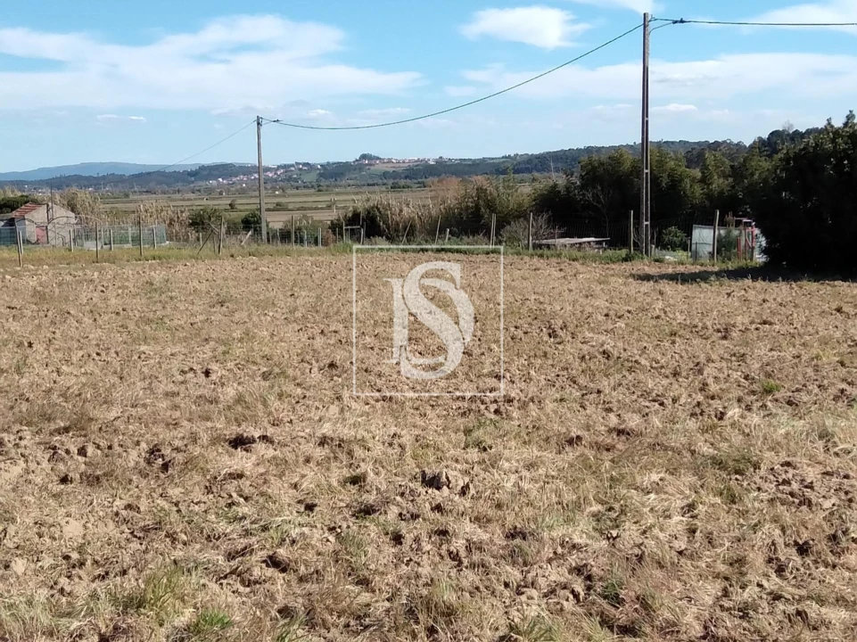 Terreno para Venda em Maiorca Foto 3