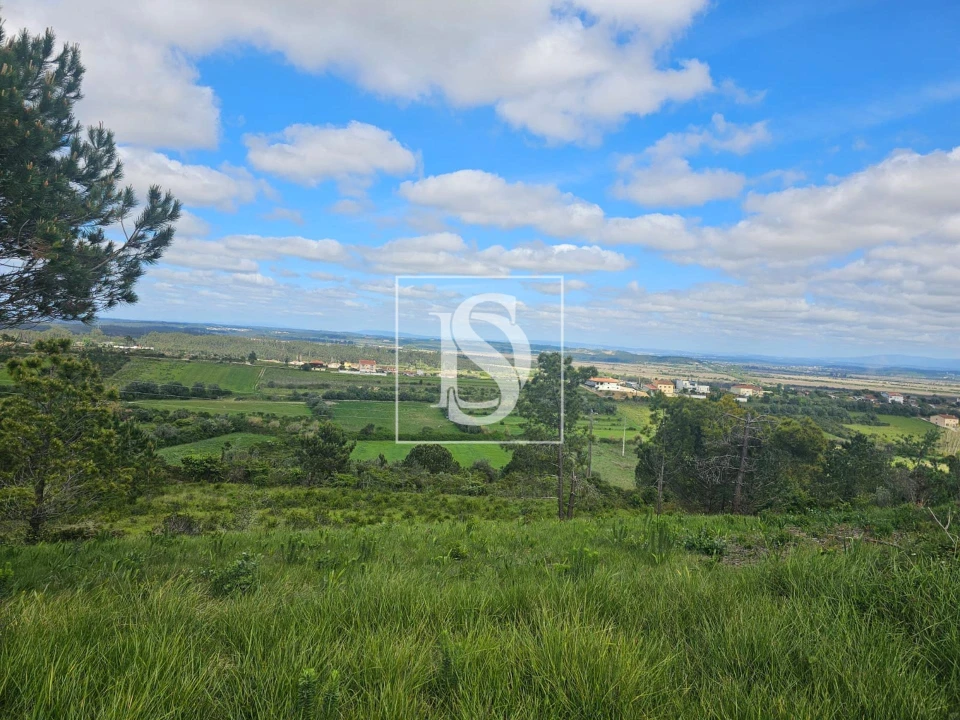 Terreno para Venda em Maiorca Foto 1