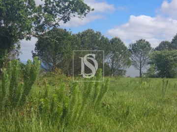 Terreno para Venda em Maiorca