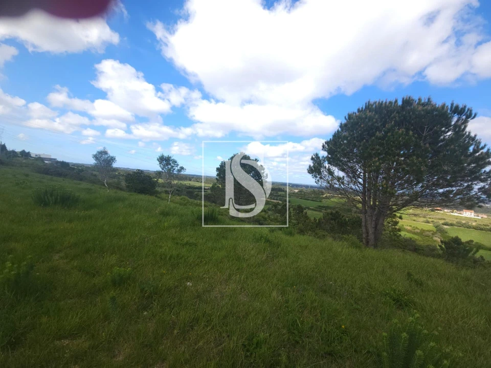 Terreno para Venda em Maiorca Foto 15