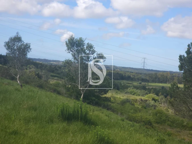 Terreno para Venda em Maiorca Foto 6