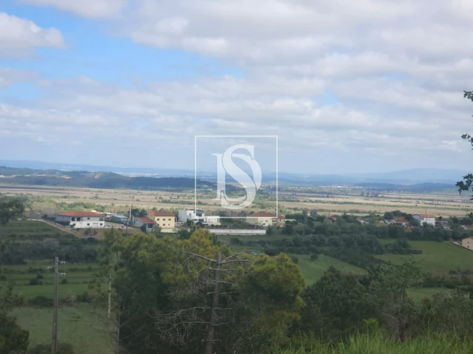 Terreno para Venda em Maiorca Foto 4