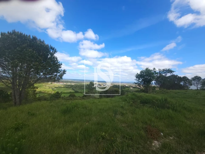 Terreno para Venda em Maiorca Foto 13