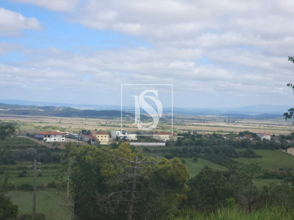 Terreno para Venda em Maiorca Foto 4