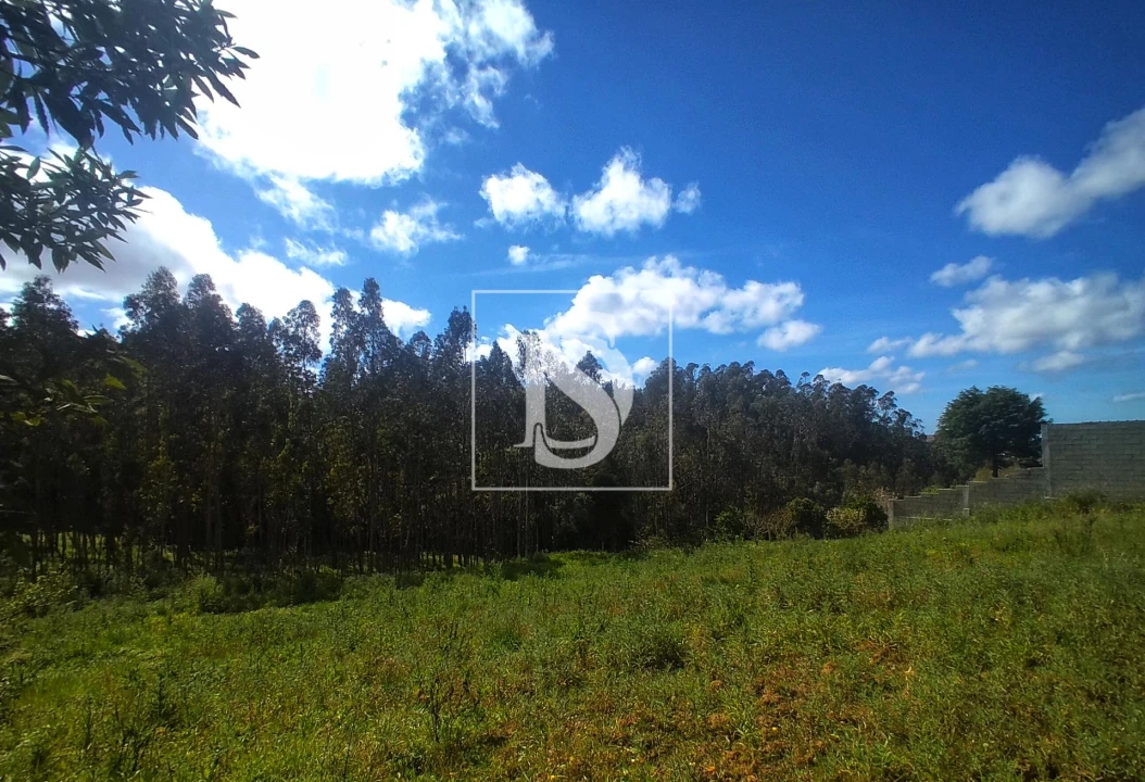 Terreno para Venda em Maiorca Foto 1