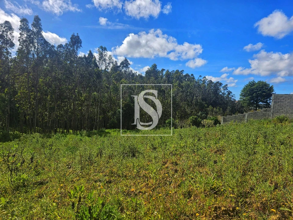 Terreno para Venda em Maiorca Foto 21