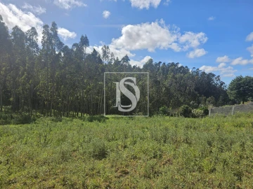 Terreno para Venda em Maiorca