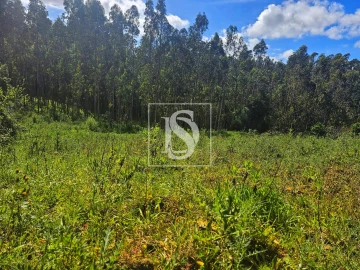 Terreno para Venda em Maiorca