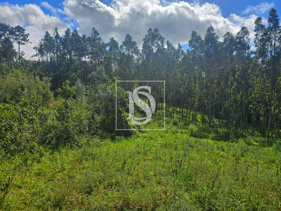 Terreno para Venda em Maiorca Foto 13