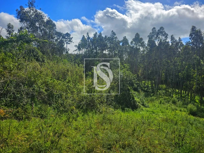 Terreno para Venda em Maiorca Foto 16