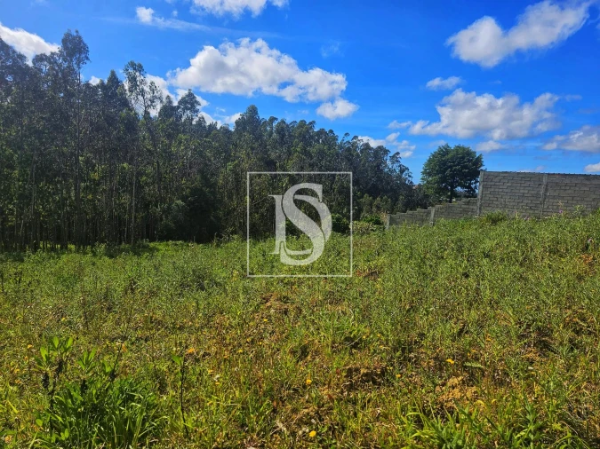 Terreno para Venda em Maiorca Foto 5