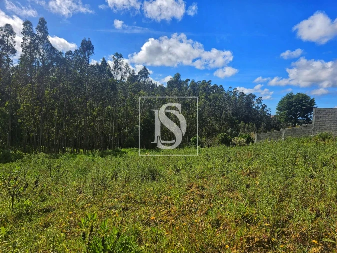 Terreno para Venda em Maiorca Foto 20