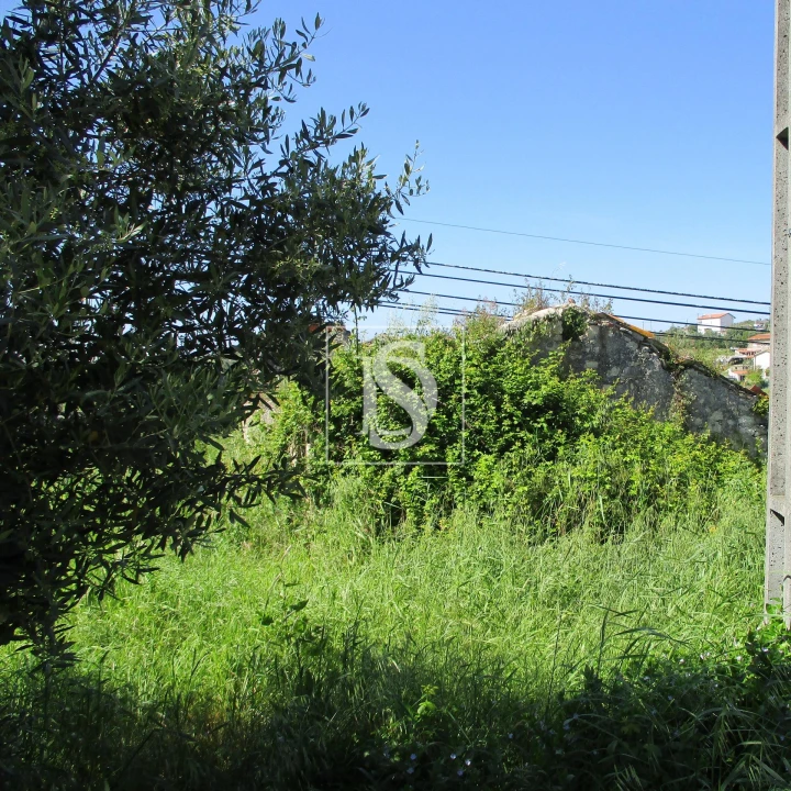 Terreno para Venda em Maiorca Foto 2