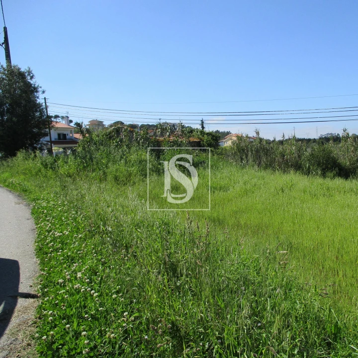 Terreno para Venda em Maiorca Foto 5