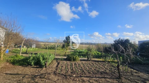 Moradia T1 para Venda em Ereira