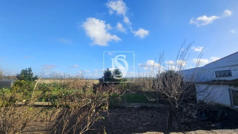 Moradia T1 para Venda em Ereira