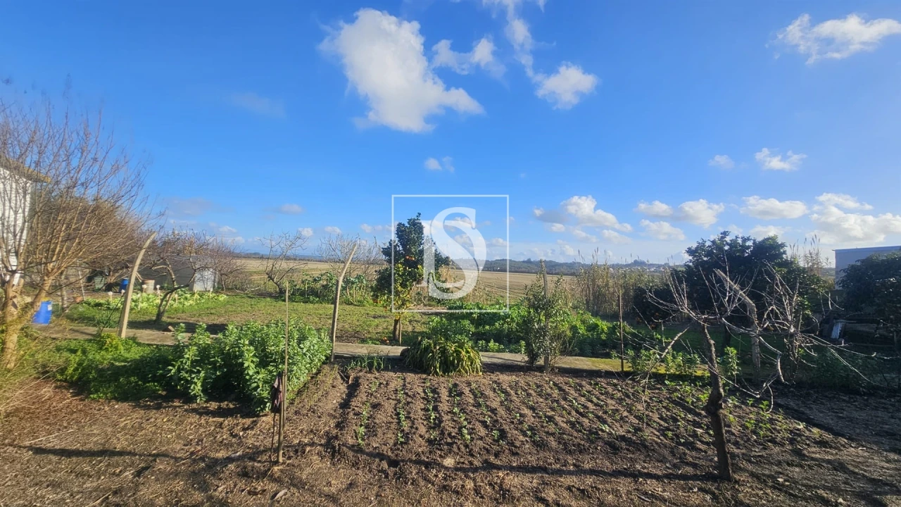 Moradia T1 para Venda em Ereira Foto 33