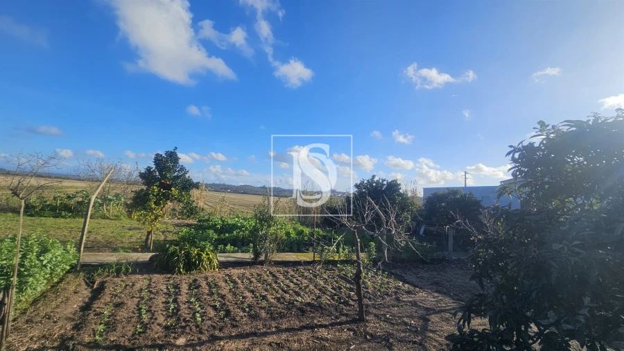 Moradia T1 para Venda em Ereira Foto 32