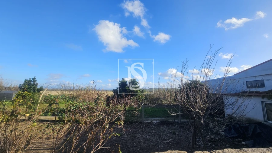 Moradia T1 para Venda em Ereira Foto 29