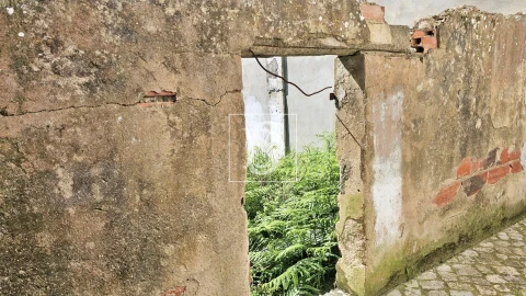 Terreno para Venda em Ereira