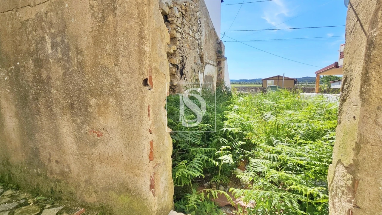 Terreno para Venda em Ereira Foto 11