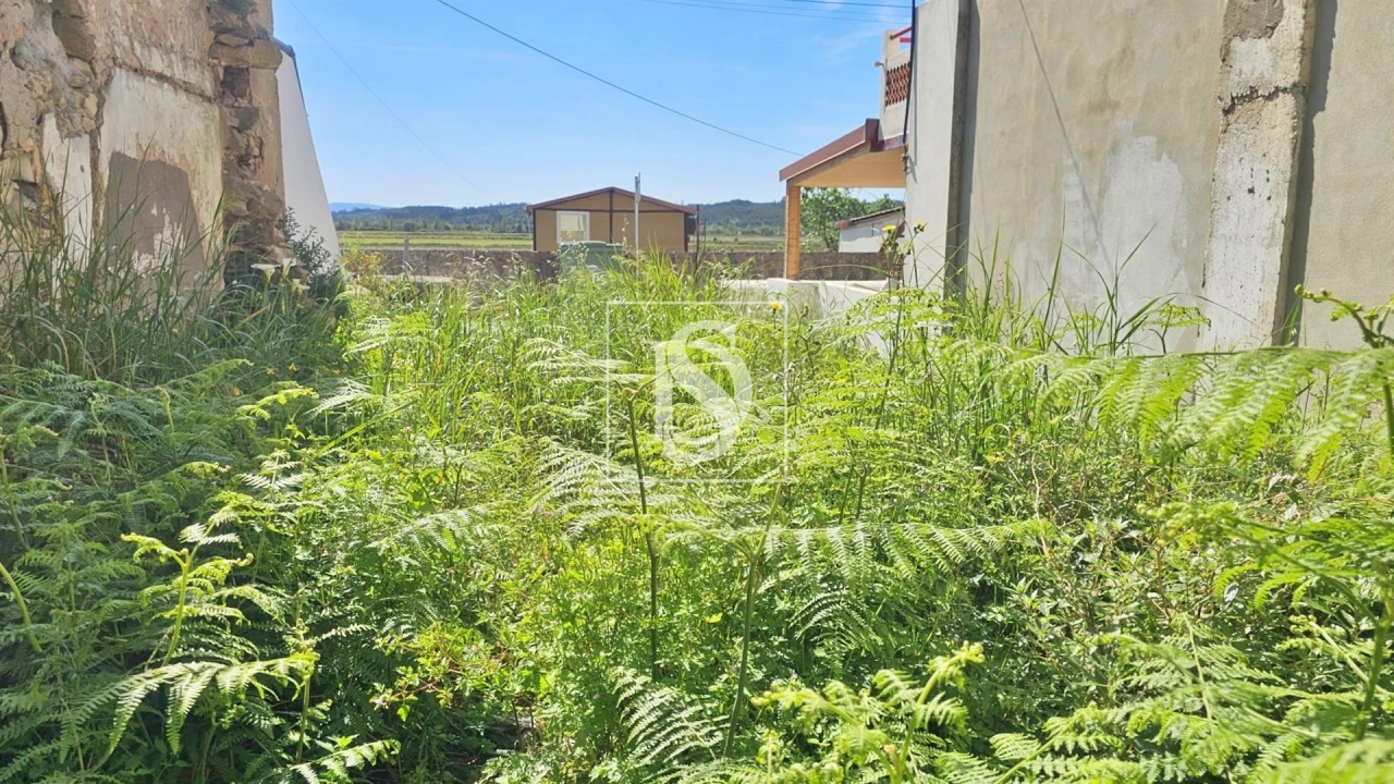 Terreno para Venda em Ereira Foto 3