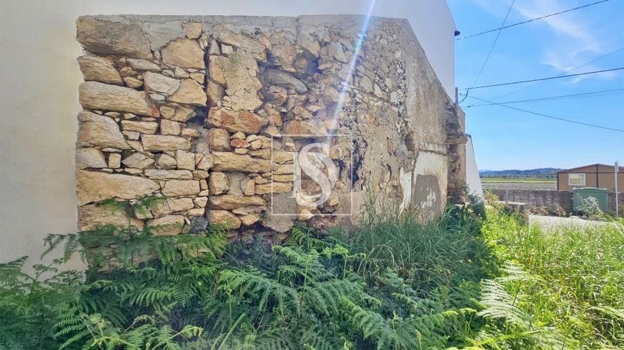 Terreno para Venda em Ereira Foto 9