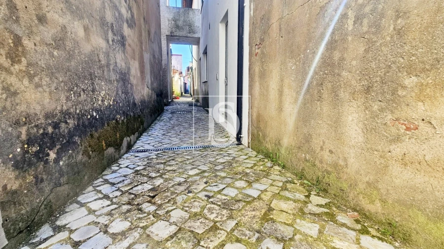 Terreno para Venda em Ereira Foto 15