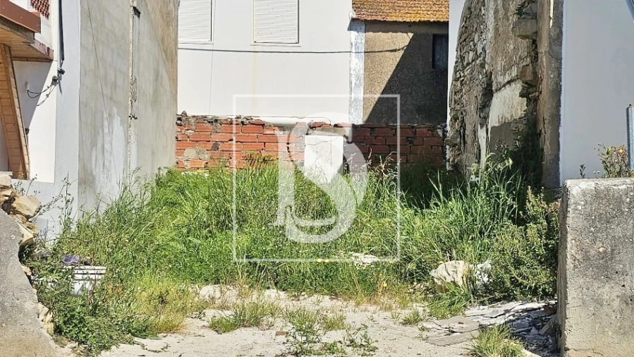 Terreno para Venda em Ereira Foto 5