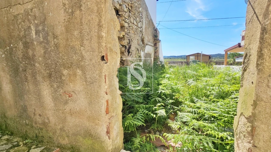 Terreno para Venda em Ereira Foto 12