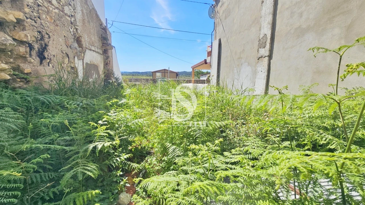 Terreno para Venda em Ereira Foto 1