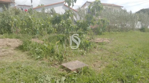 Terreno para Venda em Tavarede