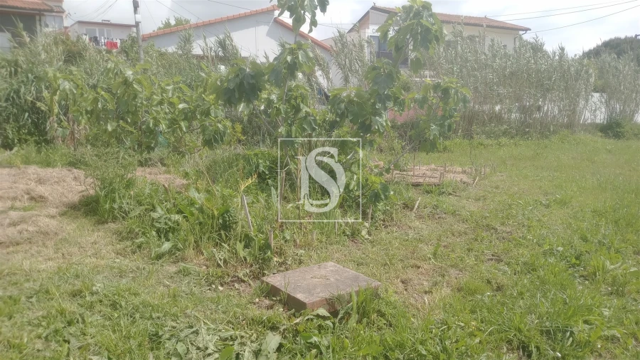 Terreno para Venda em Tavarede Foto 9