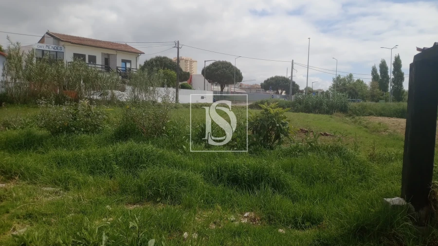 Terreno para Venda em Tavarede