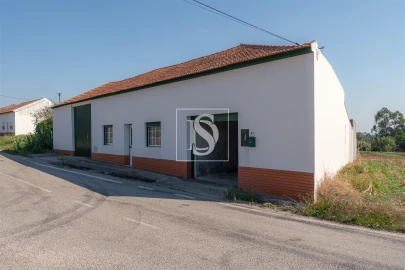 Moradia T3 para Venda em Alqueidão