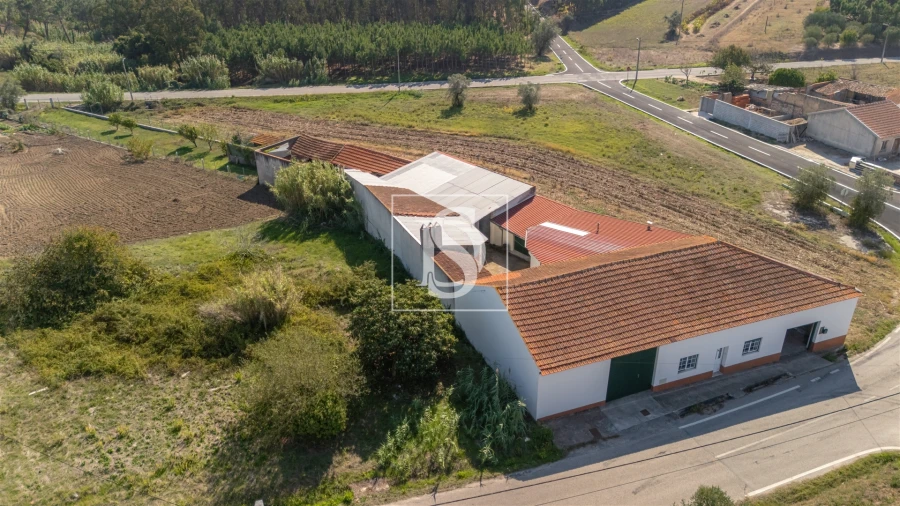 Moradia T3 para Venda em Alqueidão Foto 20