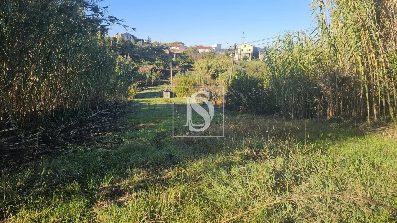 Terreno para Venda em Alqueidão Foto 14