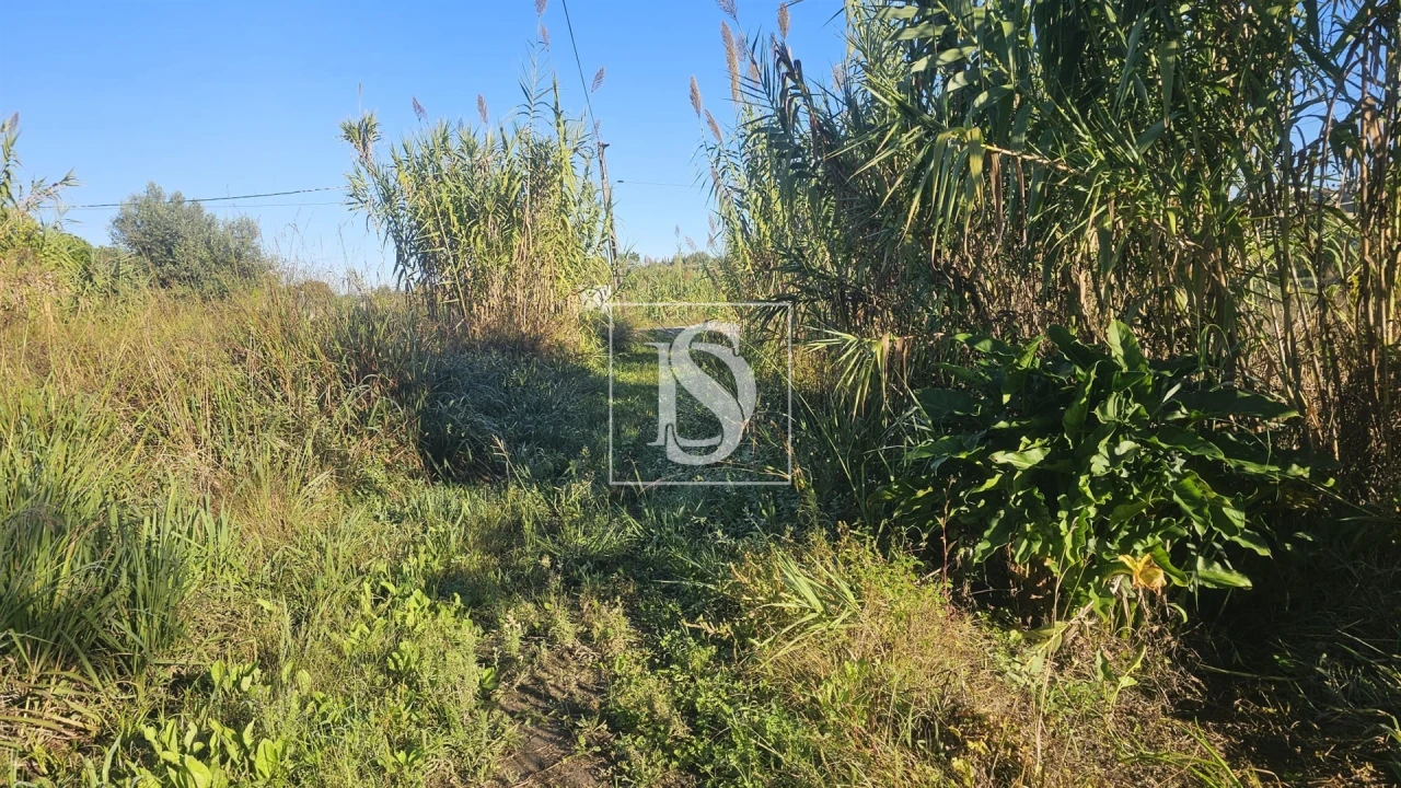 Terreno para Venda em Alqueidão Foto 3